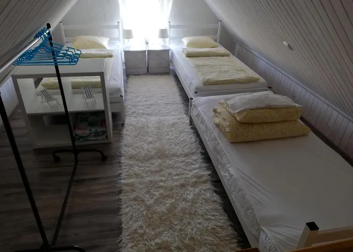 Orman Evi U Anki - Leba - *